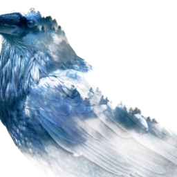 ANIMALS: A New Generation, Book Excerpt 2