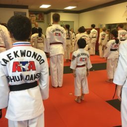 Honoring the Past – Tae Kwon Do